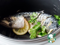 �������� � �������� ����� � ��������� � ����������� �����������