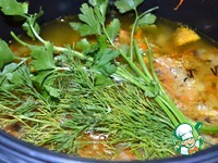 ���� ��-����������� � ����������� �����������