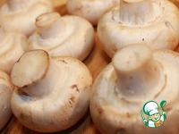 "����" �� ����������� �����������