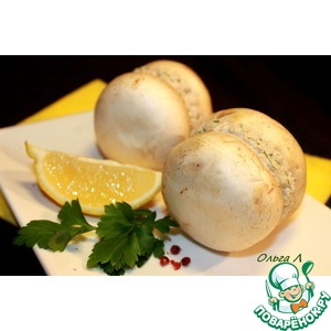 "����" �� �����������