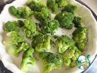 ����� "��������" �����������