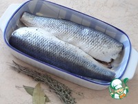 ������, ���������� � ���� � ������� � �������� �����������