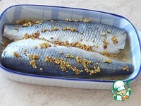 ������, ���������� � ���� � ������� � �������� �����������