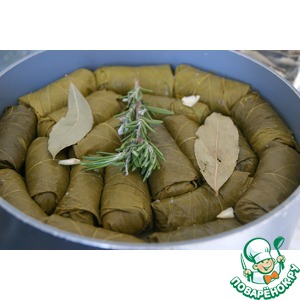 ����������� ����� �� ��������