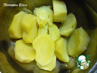 ����� �� ������������� ����� � ��������-������� �������� �����������