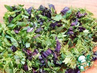 ���� � ����� �����������