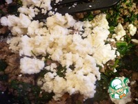 �������� ����� � ������ ������ � �������� �����������