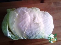 �������� �� ������� �����������