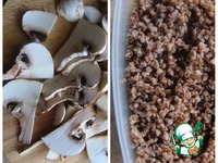 �������� �����������