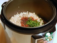 �������� � ����������� ���������� � ����������� �����������