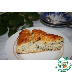 ����� "��������"