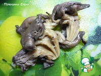 ������ ������� ����� � ������� ������� �����������