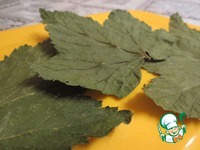 �������-���������� ������ �����������