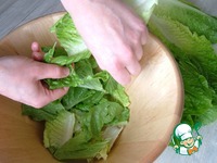 ����� "������" � �������� � ������������ ��������� �����������