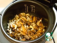 ������� � ������ ��������-������� ����� �����������