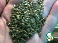 ����� "��������" �����������