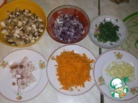 ������������ ���� � �������� �����������