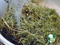 �������� ��������� �����������