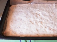 ��������� ����� � �������� �� ���������� ���� �����������