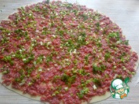 �������� � ��������� � ��������-������� ����� �����������