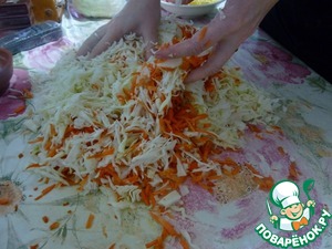 Малосольная квашеная капуста - пошаговый рецепт с фото на Повар.ру