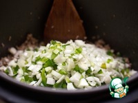 ������� ������ "Sloppy Joe" �����������