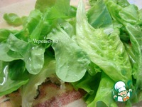 ����� � ��������, ���������� � ����� �����������