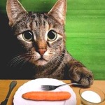 ����� ��� �������? � ��������� 10 ����� �������������� ���������