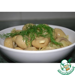 ������������ ����� � �������