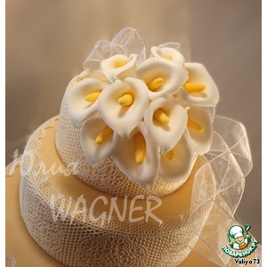 ����� �� �������� ������� ��� ������