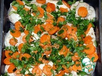 ������ � ���� � �������� �����������