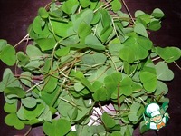 ������ �������� � ������� �������� �����������