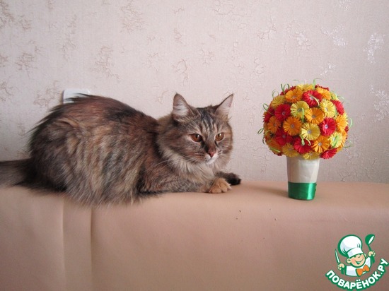 ��� ���������