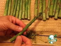 ������ � ������ �����������