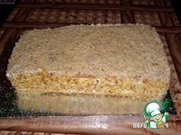 ���� "����� ����� ���" �����������