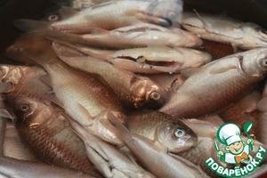 Как приготовить рыбные котлеты: рецепт с фото пошагово