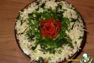 ������: ����� "����������"