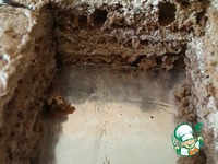 ���� ���� �����������