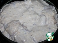 ������ � �������� �����������