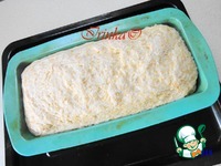 ���� ��������� � �������� �����������