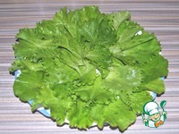 ����� �� ������ � ������� � ������� ������� �����������