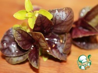 ������ �� ������ � ������ �����������