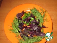 ����� ������� �����������