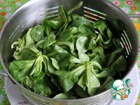 ������� ����� "������" �����������