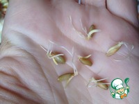 ����� ������ � ��������� ������������������ (����� �����) �����������