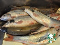 ���������� ������������� ���������� �����������