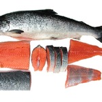 ��������� ����