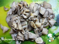 ������ � ������� � ������� � ��������-������ ����� �����������