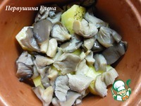 ������ � ������� � ������� � ��������-������ ����� �����������