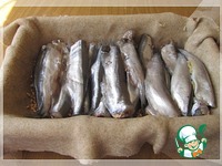 ��������� (������� ������ �����) �����������